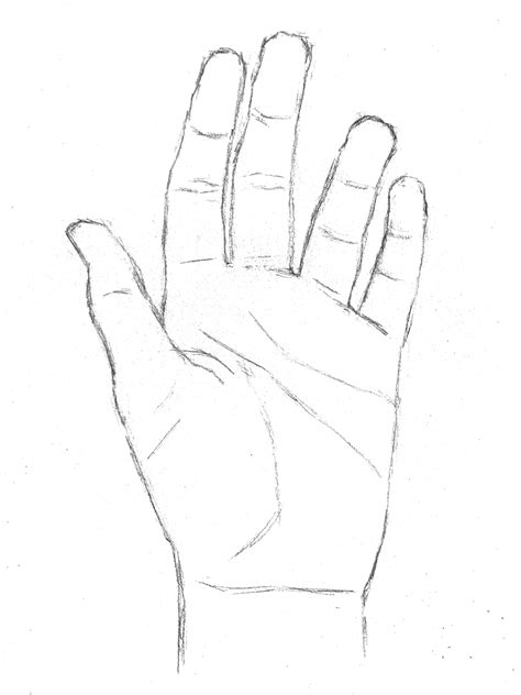 Crosshatching How To Draw A Hand Artists And Illustrators