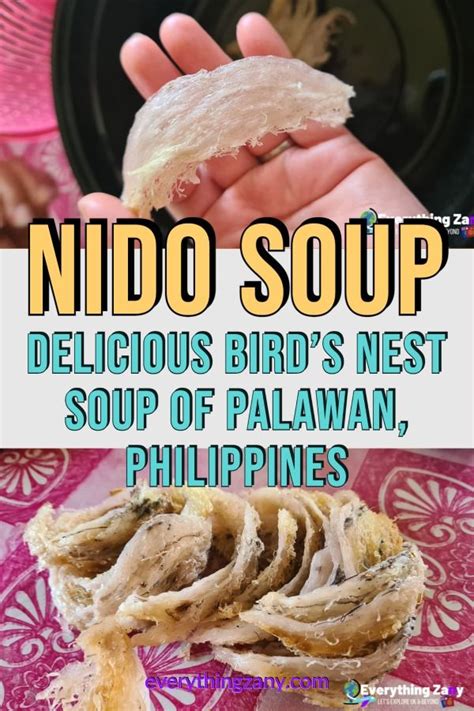 A Person Holding A Piece Of Food In Their Hand With The Words Nido Soup