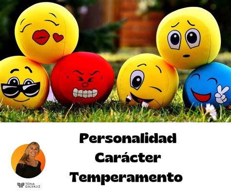 Diferencia entre personalidad carácter y temperamento Desarrollo