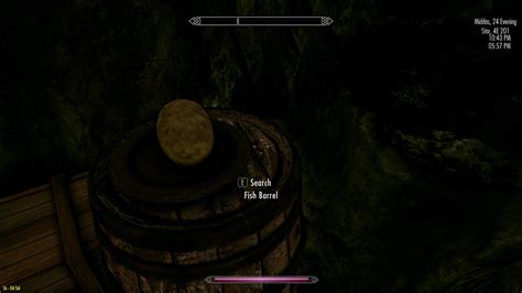 What Are You Doing Right Now In Skyrim Screenshot Required Page 71