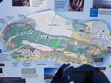 brownsea island poole            poole england