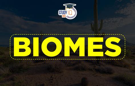 Biomes Meaning Map Types Examples And Facts