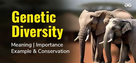 Genetic Diversity: Meaning, Example, Importance, and Conservation ...