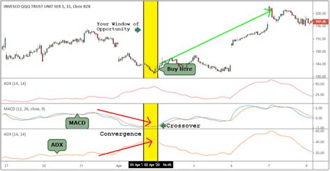 Successful QQQ Options Trading System