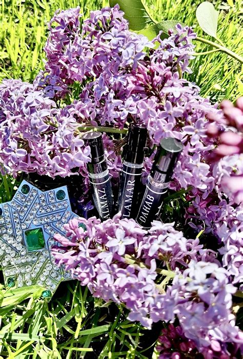 ALMAZ Discovery Set by Kajal 3x2ml - KAJAL
