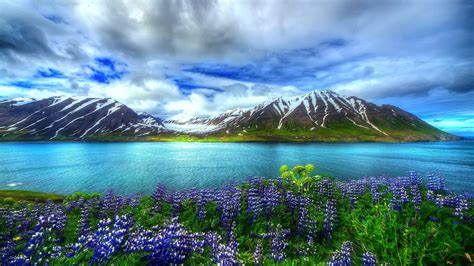 Spring Landscape Wallpaper Hd