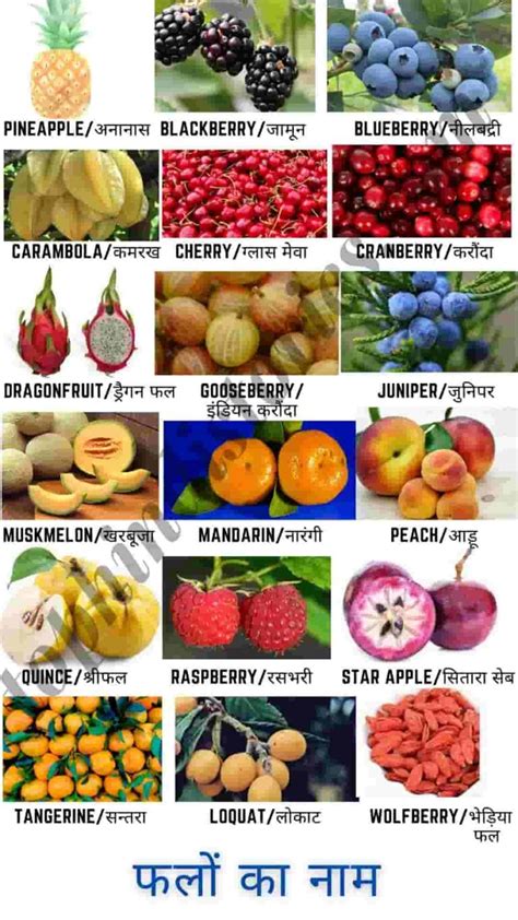 50 All Fruits﻿﻿ Name In Hindi And English Chart L फलों के नाम