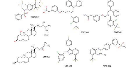 Synthetic Lxr Agonists Download Scientific Diagram