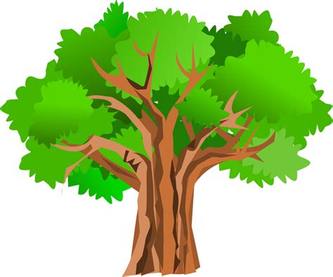 Tree Png Transparent Image Download Size 999x834px