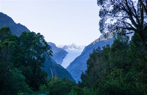 Fox Glacier South Side Walkway, West Coast - See the South Island NZ ...