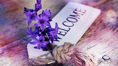 Welcome Wallpapers Wallpaper Cave