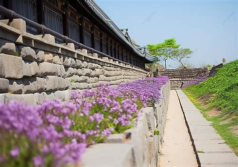 Gyeongbokgung North Korea Tourist Attractions Background, High ...