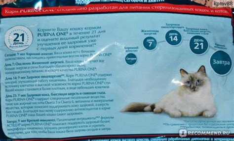 Корма премиум класса для кошек (влажные и сухие): список названий ...