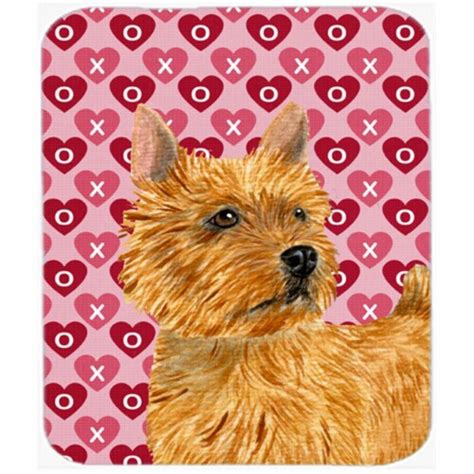 Norwich Terrier Hearts Love And Valentines Day Mouse Pad Hot Pad Or