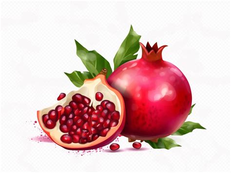 Pomegranate Piece On White Background Illustration With Leaves Cartoon