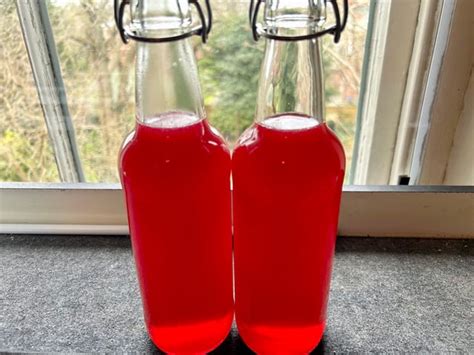 Raspberry Lemon And Hibiscus Cordial R Cordials