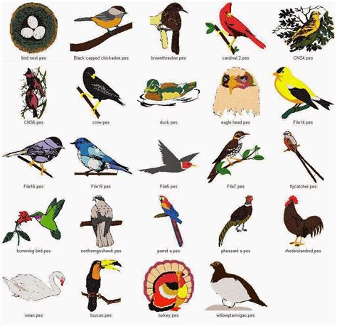 Related image Birds Name List, Animals Name List, List Of Birds, Animals And Pets, Birds ...