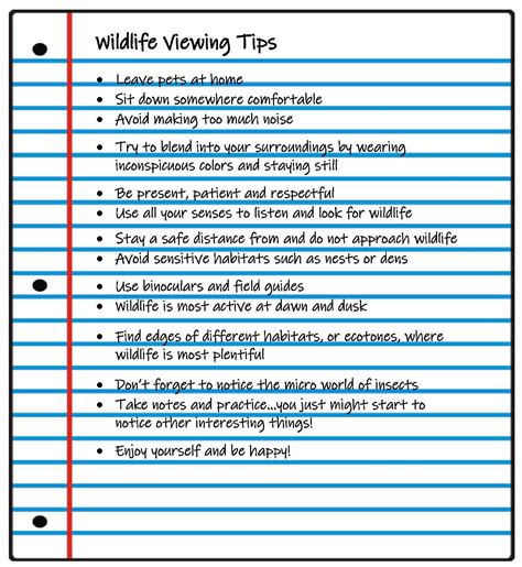 Wildlife Viewing Tips – California Swan Festival