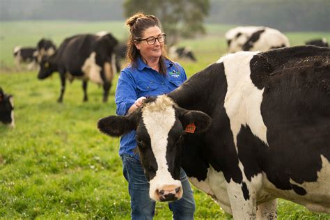 Coles Unveils Great Lengths Campaign For Aussie Dairy Farmers Edairy