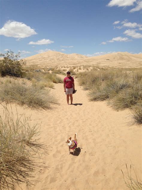 Hiking at Kelso Dunes. Kelso Dunes, Coachella Valley, Biking, Monument ...