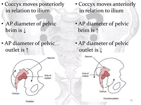 Biomechanics of si joint | PPTX
