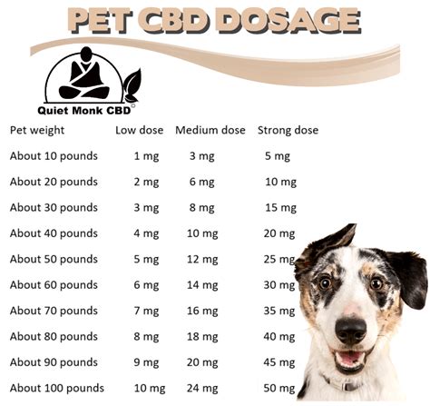 What Cbd Dosage Should I Give My Dog Or Cat Cbd Doses For Pets