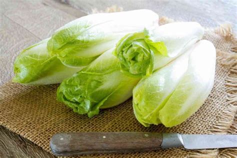 Endive Vs Chicory Key Differences