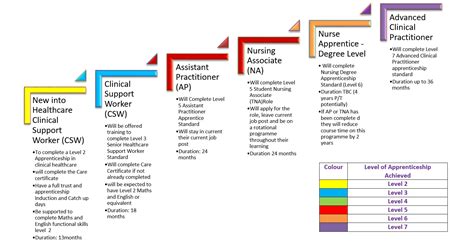 Career Progression Nhs Apprenticeship Hub