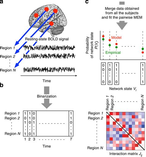 Fitting The Pairwise Mem To Fmri Data A B Resting State Bold Signals