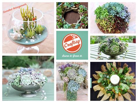 HOW2 Create Stunning Succulent Arrangements | PartyIdeaPros.com