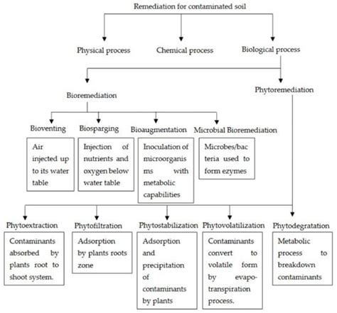 Bioremediation Techniques Encyclopedia MDPI