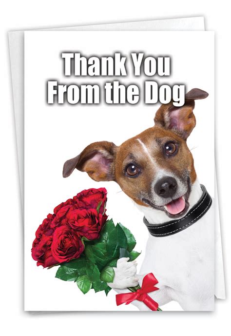 Thank You Dog Meme