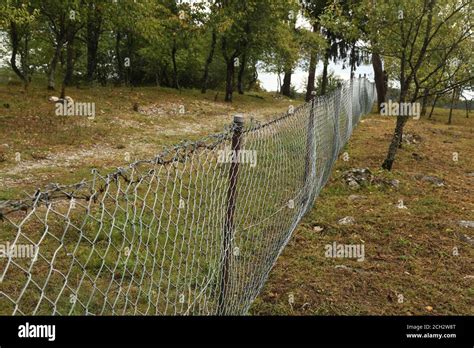 Steel Wire Mesh Fence In The Garden Stock Photo Alamy