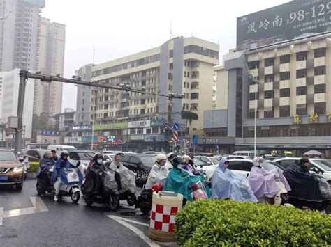 广西未来三天阴雨霸屏雾和回南潮湿天气澎湃号·政务澎湃新闻 The Paper