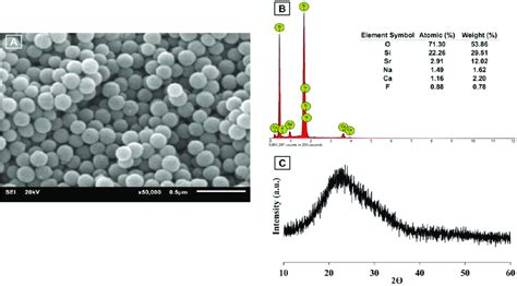 Characteristics Of Sr F Bioactive Glass Nanoparticles A SEM Image Of