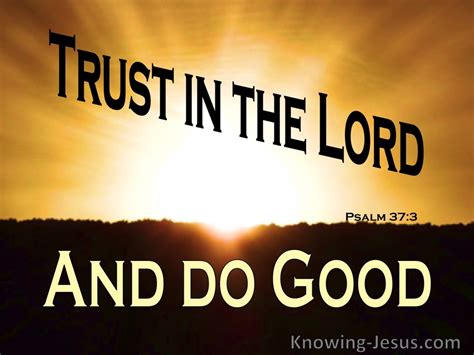 Psalm Trust In The Lord And Do Good Orange