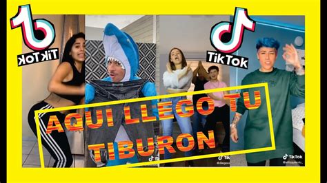 Tik Tok Aquí Llegó Tu Tiburón 🦈challenge 💥 Youtube