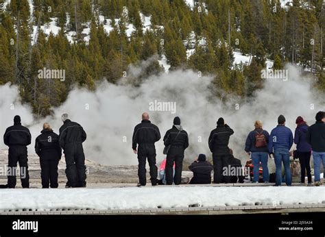 Tourists await the eruption of Old Faithful Stock Photo - Alamy