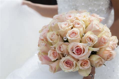 Pink rose bouquet 1257145 Stock Photo at Vecteezy