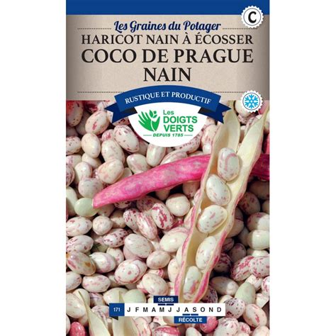 Haricot Nain Cosser Coco De Prague Nain G