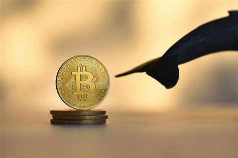 Voici Pourquoi Le Bitcoin Btc Pourrait Atteindre Dollars L