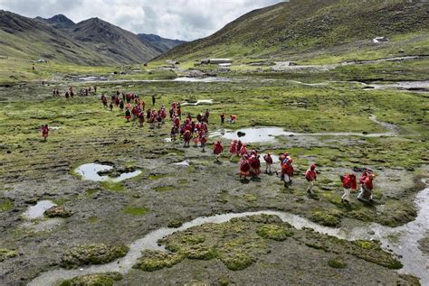 Más de 10 millones de árboles nuevos el premiado plan que reforesta