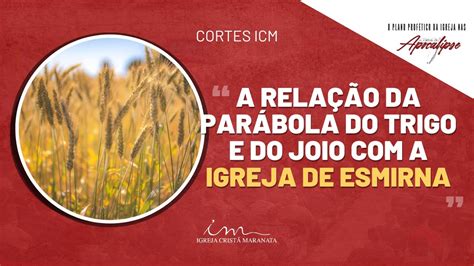 Corte Icm A Rela O Da Par Bola Do Trigo E Do Joio A Igreja De