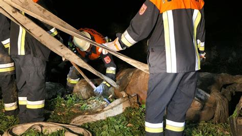 Spektakul Re Tierrettung Bei Oberhohenried Einsatzkr Fte Ziehen