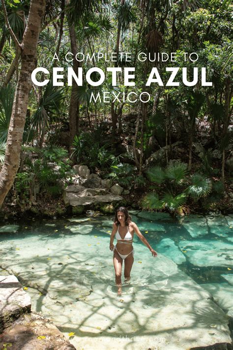 Cenote Azul, Playa del Carmen: A Complete Guide (2024)