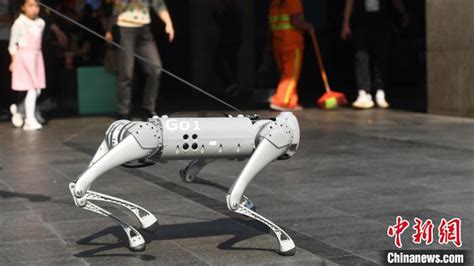 「最初にロボット犬の散歩をした人々」がトレンド入り その意味とは？｜日経bp 総合研究所