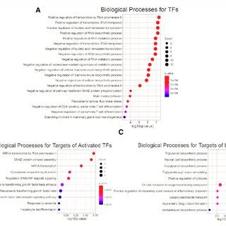 Enrichment Analysis For Common Tfs And Their Targets A Biological