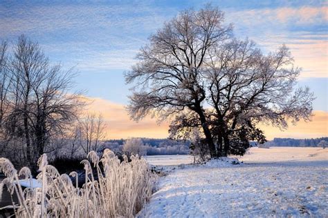 Schnee Winter Kalt Kostenloses Foto Auf Pixabay