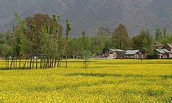 Kashmir Valley - Wikipedia