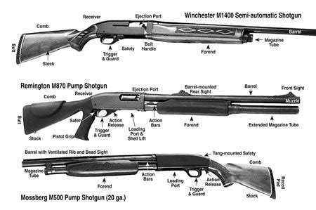 Parts Of A Rifle | Firearm Basics (2018) ⋆ Primer Peak